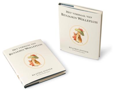 Het verhaal van Benjamin Wollepluis